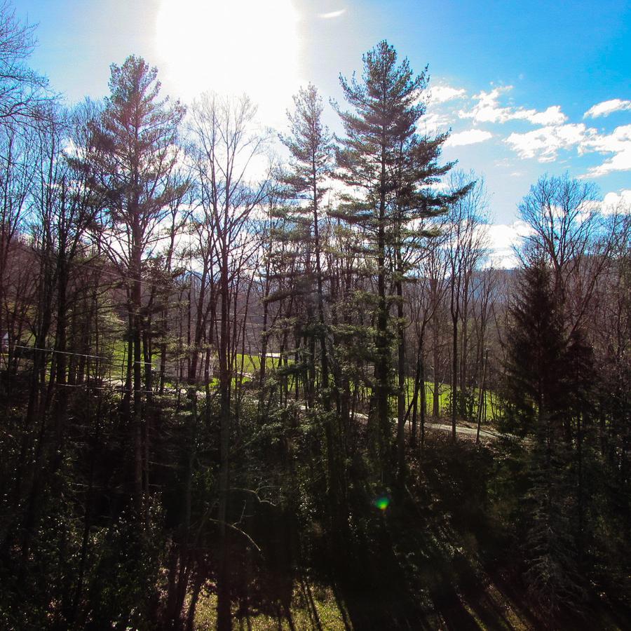 Red Leaf River Inn Уэйнсвилл Экстерьер фото